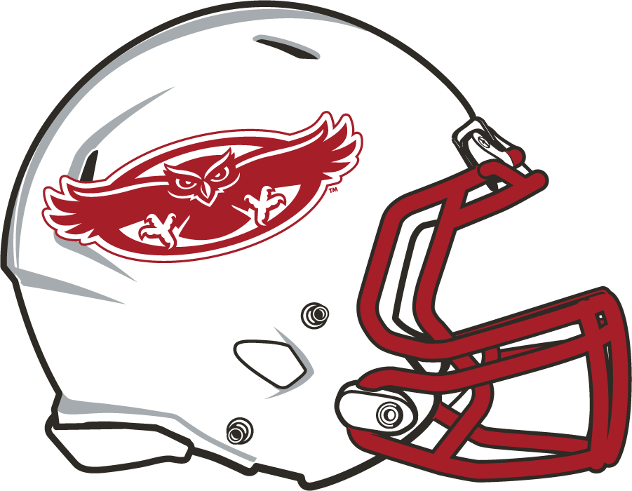 Florida Atlantic Owls 2015-2017 Helmet Logo t shirts iron on transfers